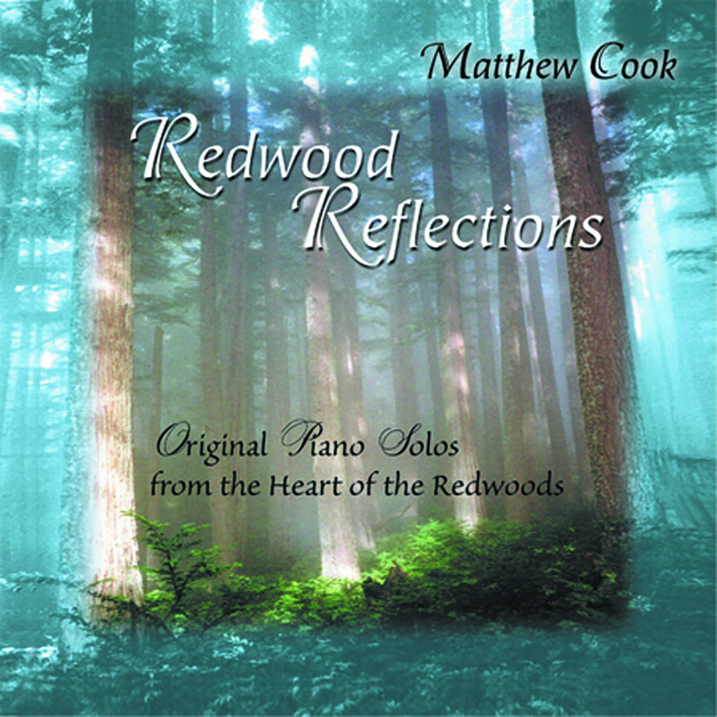 Redwood Reflections by Matthew Cook