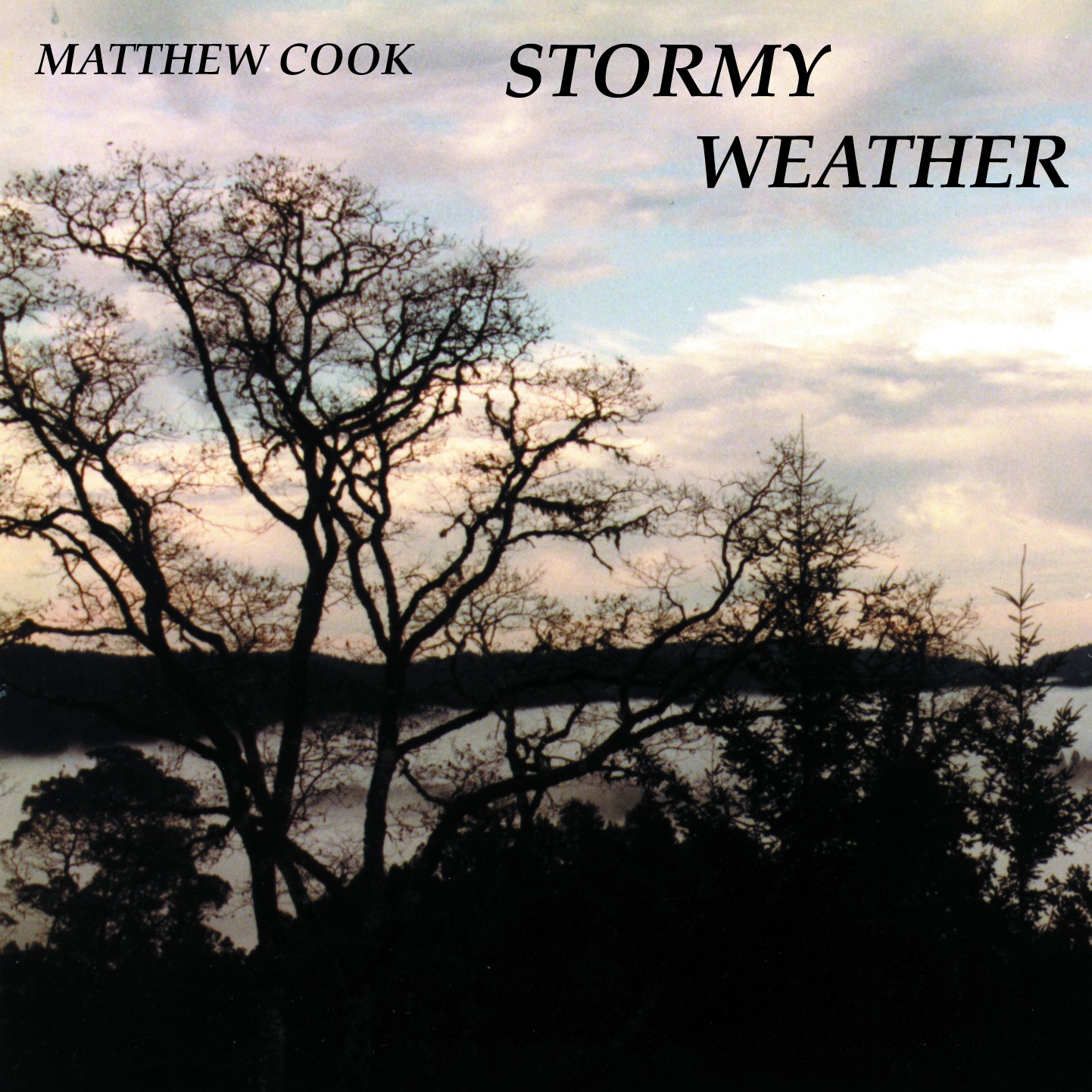 Stormy Weather by Matthew Cook