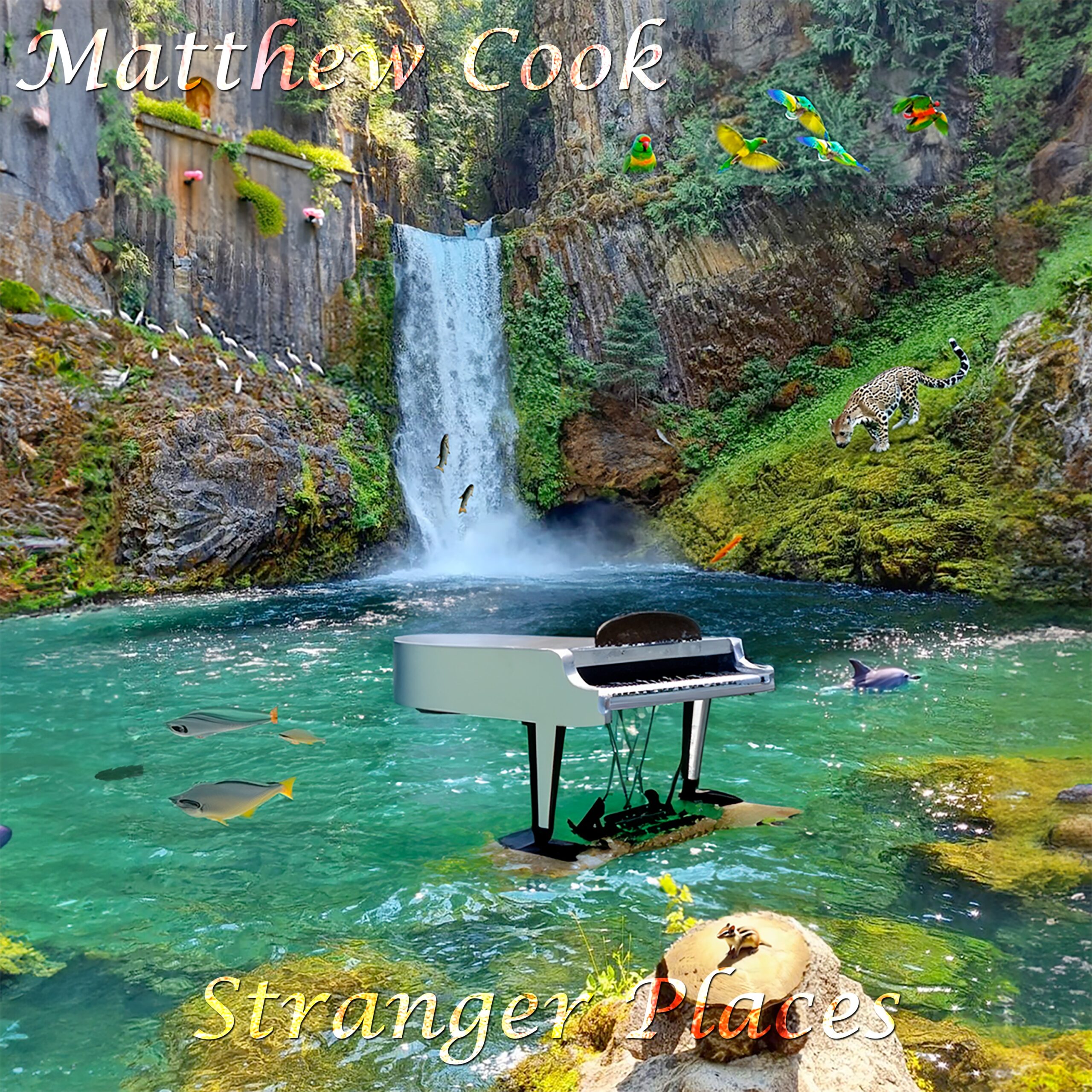 Stranger Places by Matthew Cook